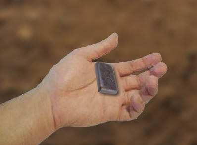 hand with voting chip